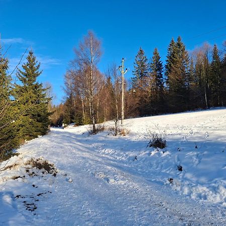 Apartmán U Mamuta Dolní Morava Esterno foto